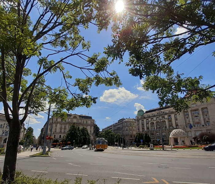 Együttműködés és a változás elfogadása a tematikus utcákban