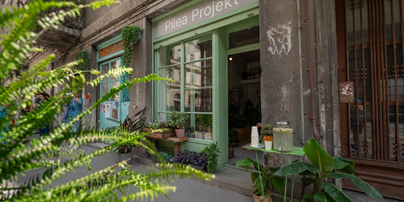 DSC_2982_20240525314099-50