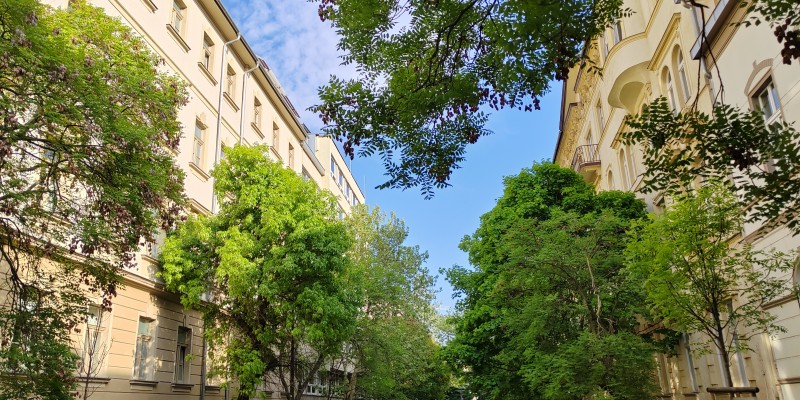 IMG_20250425_170530_1