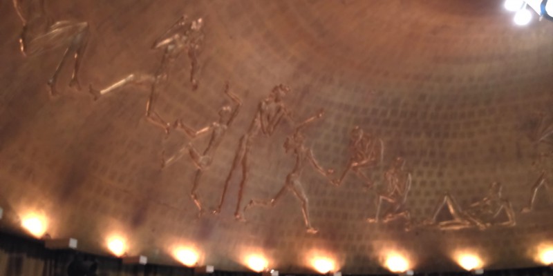 IMG_20170423_131033_HHT