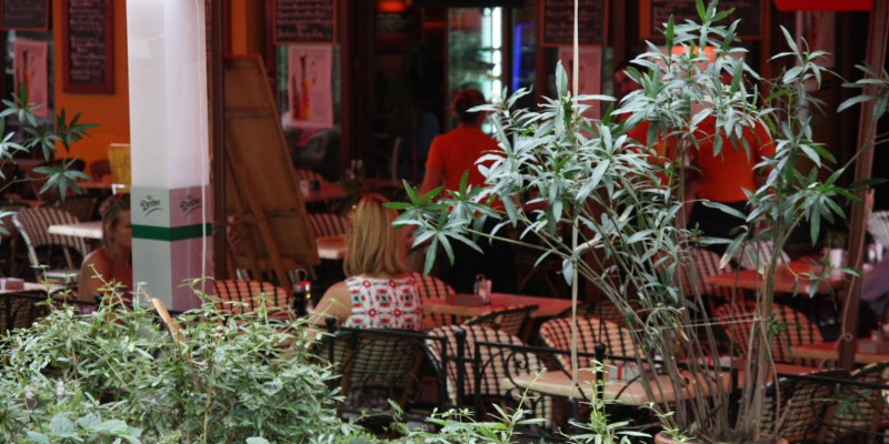 Cafe Vian French Bistro - Liszt Ferenc tér 10. - 3