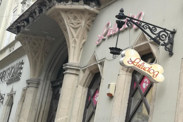 Luludog - a divatos kutya